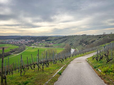 23-03-17 15-05-02 4926